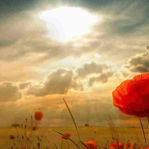 چقدر گفتم فقط با من بمون کاش واقعی بود