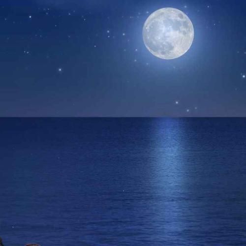  بوی بودنت چه خوب مونده رو تنم