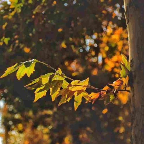  اشک ریختم رو خاک روحم دیدم حالم گله