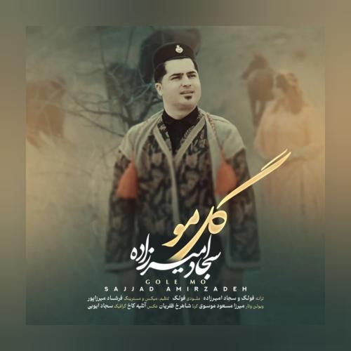 سجاد امیرزاده گل مو
