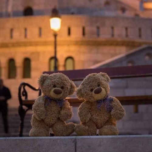 غلوپ غلوپ بالا اگه زدی برو پیک بعدی