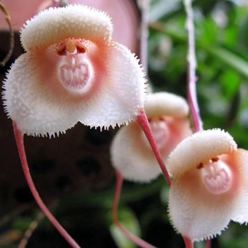  شیک ات شیک ایت میریم بالا مثل پیجت بیبه