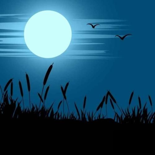  آره آره اجازه دادی و راضی بودی باهات بازی کنن دوباره