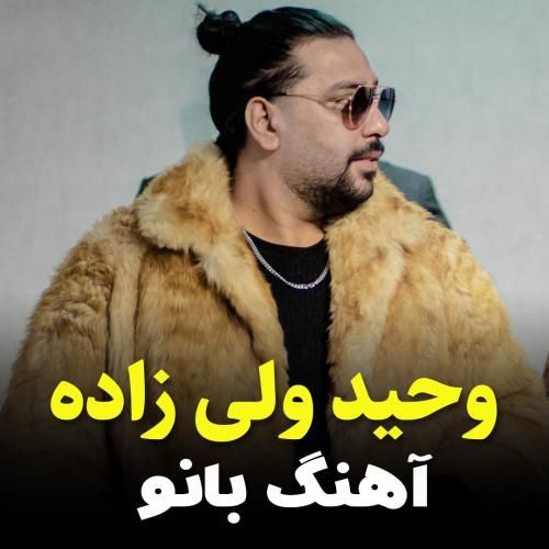 وحید ولی زاده بانو