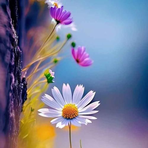  دنبال تنوع باختم اون همش برد