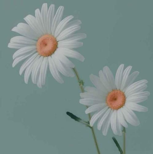  امروز مثل روز قبل بعد کار ناخواسته زدم تو بندر