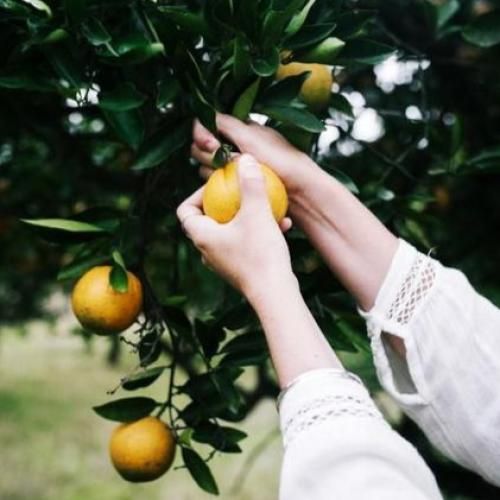  واسه برگشتن خیلی دیره