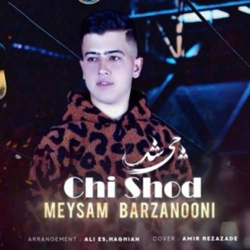 میثم برزنونی چی شد