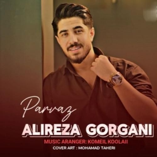 علیرضا گرگانی پرواز