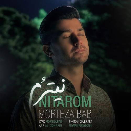 مرتضی باب نیترم