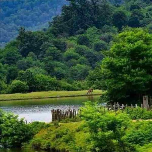  نداره عیب دارم برات آره دارم برات