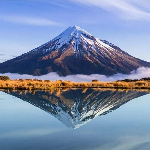  لات بشی تو رو بوس میکنم من دکترم تو رو خوب