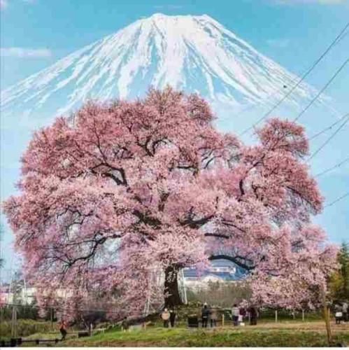 نمیگیره کسی که جات چشم تو چشم میشم