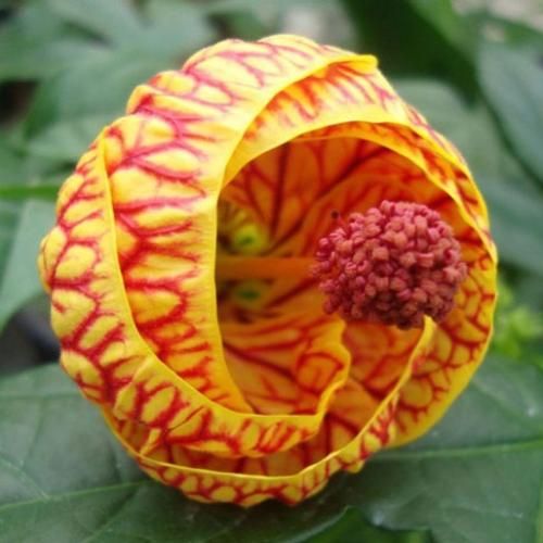  برو حاجی مارو بی خیال میکاپ فیلم سینمایی به ما نمیاد