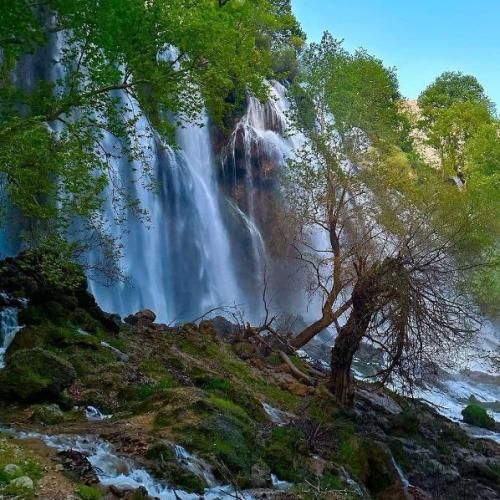 بین من و تو درد شبیه است چه بسیار با صدای زن