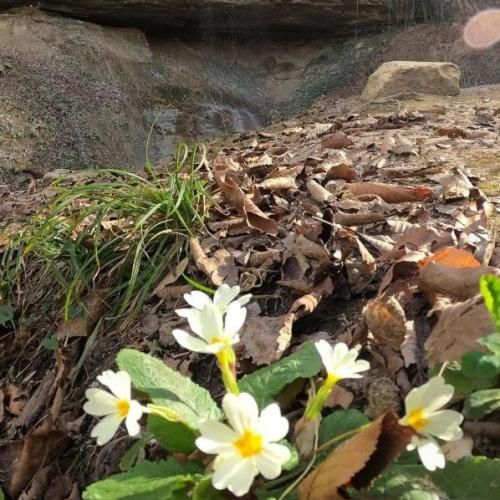  تو چقدر دلبری از همه سرتری با چشای نازت دلمو میبری با صدای زن