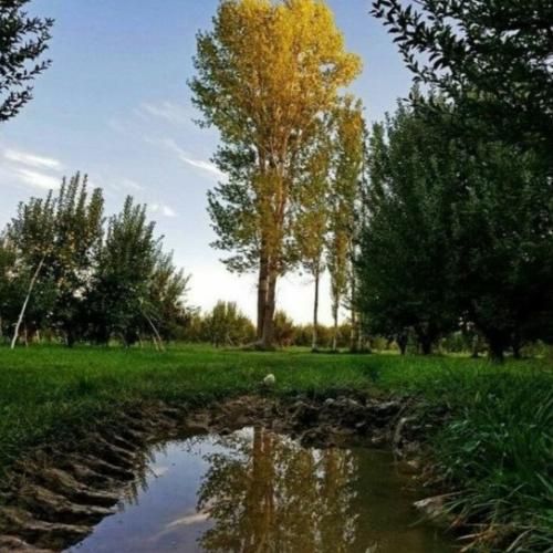 فاطمه عطایی جان باجی