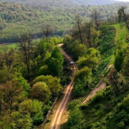 هر چی خواستم خوش بگذره بهم تلقین کنم