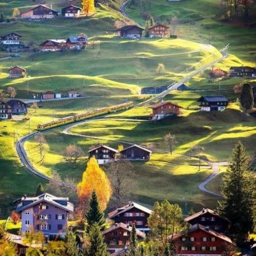  هنوز میبیننم میگن سم داری میگم مثل کارامه کارا