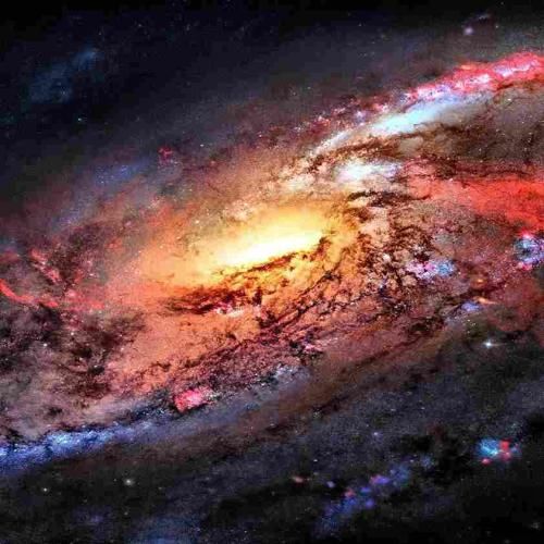  نسخ کردی چته دختر چرا چسبیدی به سنگا مثل جلبک