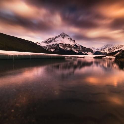  به تته پتته افتادم دام نیست حیات وحشه