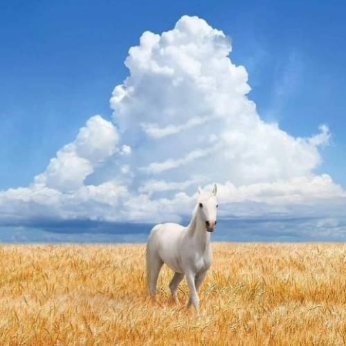  همیشه حواس جمع از بیرون آروم تو مغزم دعواس