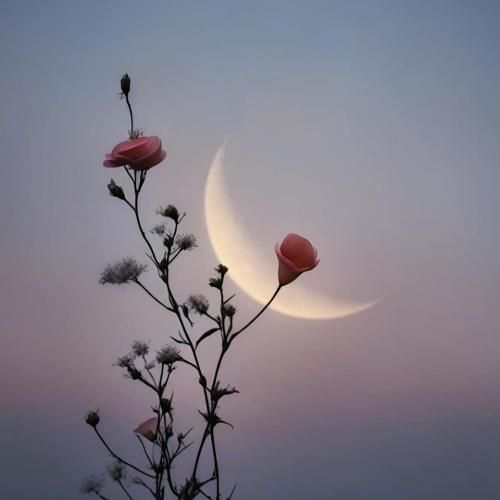 دانلود آهنگ خون خورشید از علی سورنا و بهرام