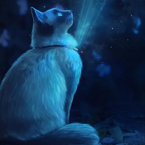   از آسمون داره میاد یه دسته حوری