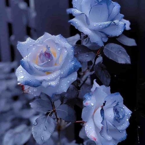 دانلود آهنگ ار نبینمش خرابم نبین مونه خرابه از ماهک