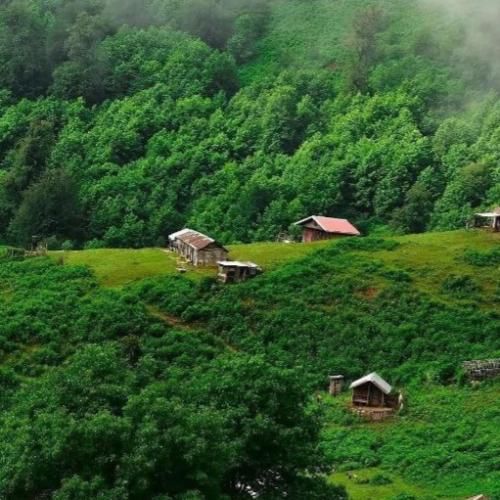  نمیخوای پس خودم ساختمش تکی الان که نسخی