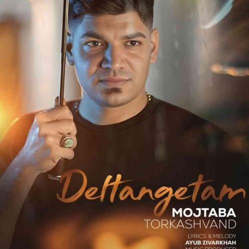 مجتبی ترکاشوند دلتنگتم
