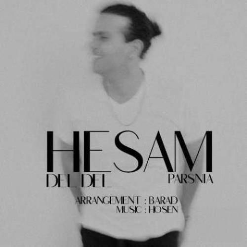 حسام پارس نیا دل دل