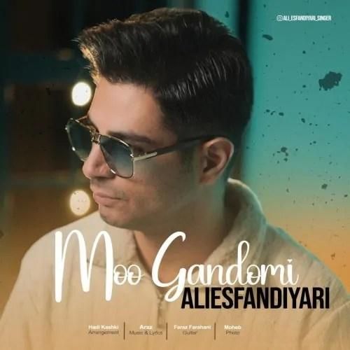 علی اسفندیاری مو گندمی