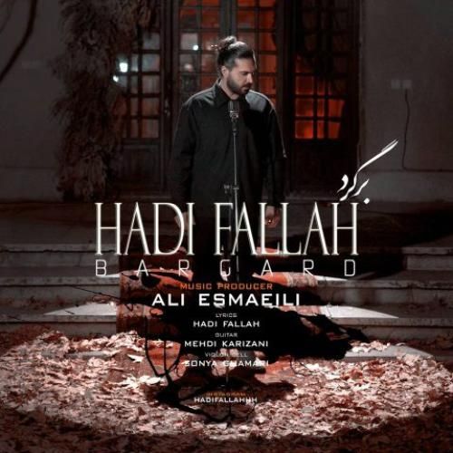 هادی فلاح برگرد