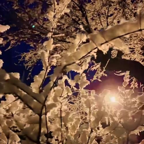  با تو گذشته چه شبایی تو دلیل لاوم و ترکامی