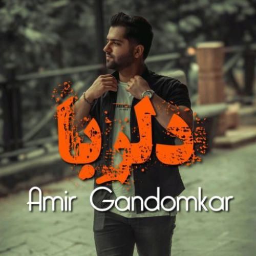 امیر گندم کار دلربا