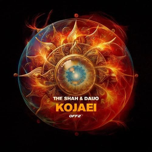 شاهین نجفی کجایی