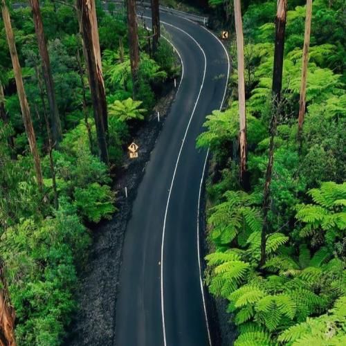  برید کنار اومدم با پرشیا ماشین شوتی موتور زانتیا