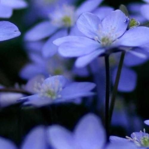 بهشت من تویی میشه آرومم کنی هوش مصنوعی