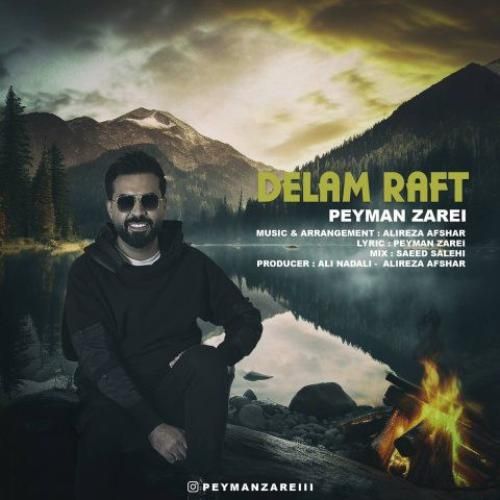 پیمان زارعی دلم رفت