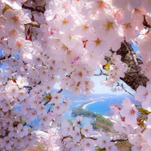 بباره سنگ هر طوری بشه کنارتم یکی هست هنوز دیوار تکیه ات