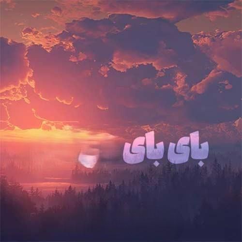 ناهید بای بای