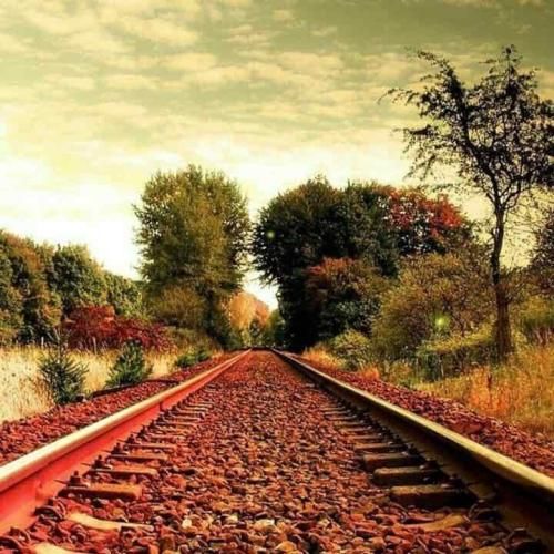 شروانو کزیه دایکت قربانو ترند انستایی