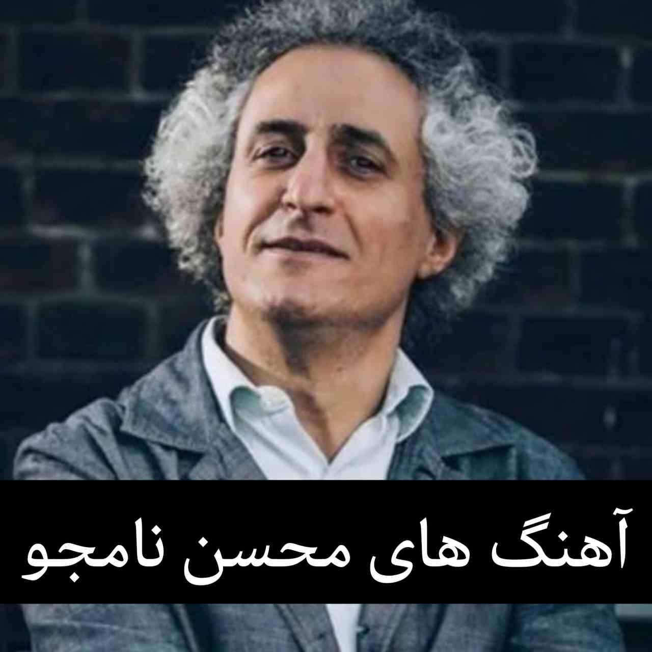 گلچین 10 آهنگ برتر محسن نامجو
