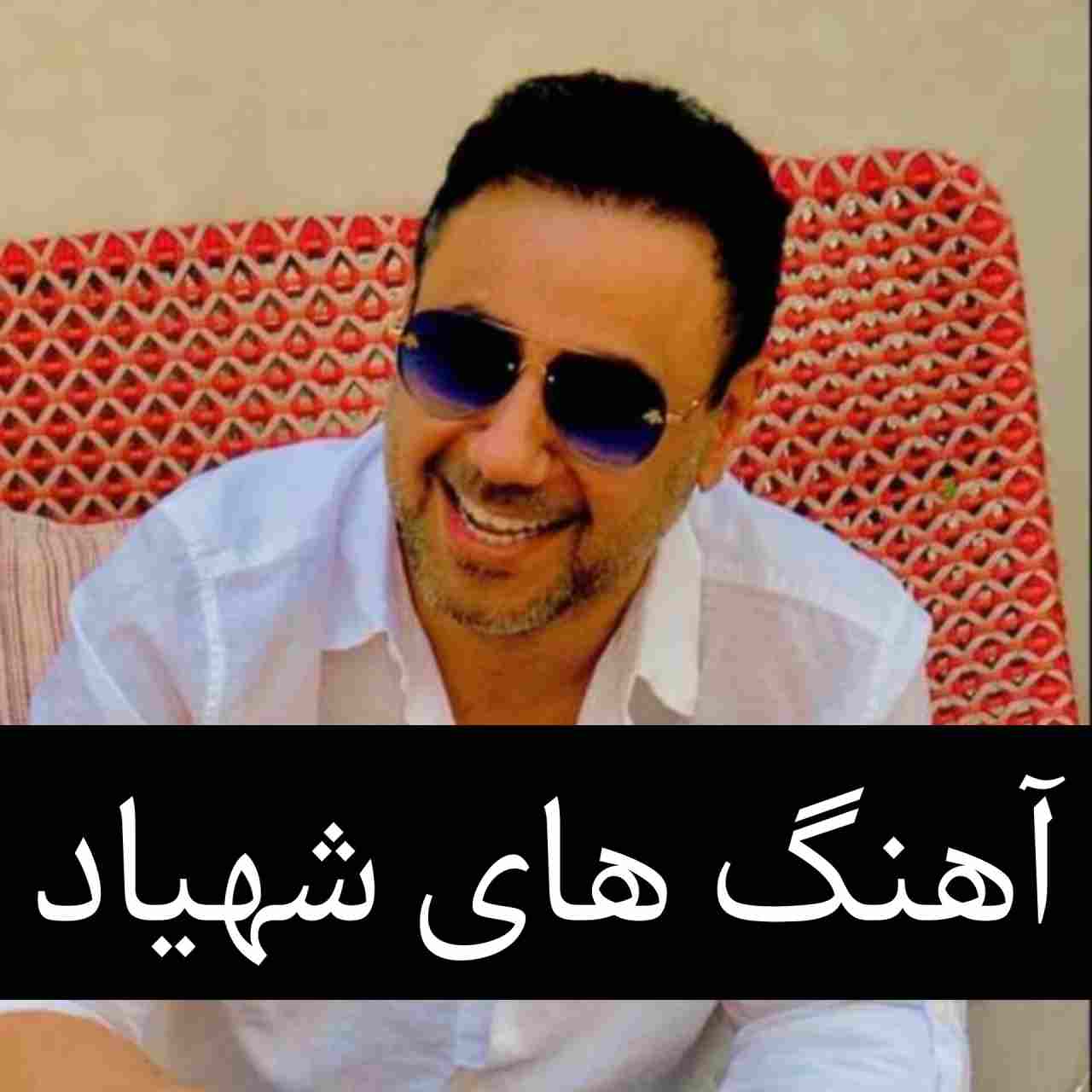 آهنگ ها و ریمیکس های برتر شهیاد 2025