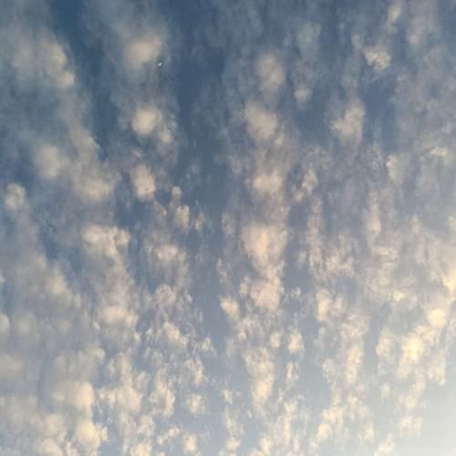 با همه لاس میزنم یه زنگ به عباس میزنم