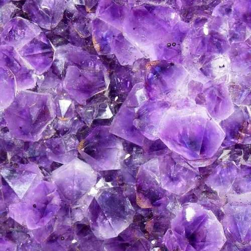 نه دوست دارم بچم دکتر بشه نه شزن بار بیاد و قلدور بشه