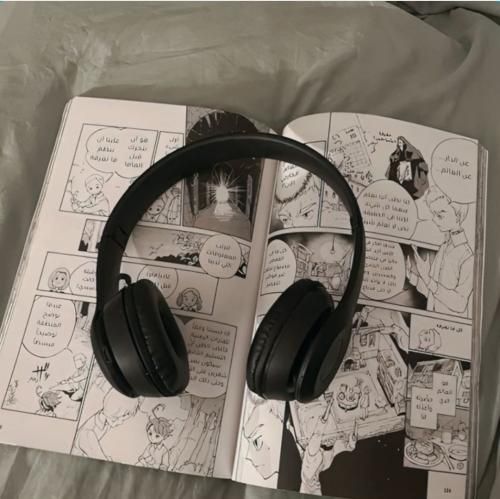 هیپهاپولوژیست