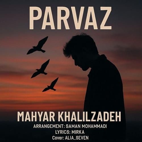 مهیار خلیل زاده