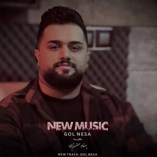 بهنام حسن زاده